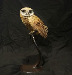 Hooded Owl by Vivien Mallock