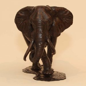 Elephant - William Montgomery