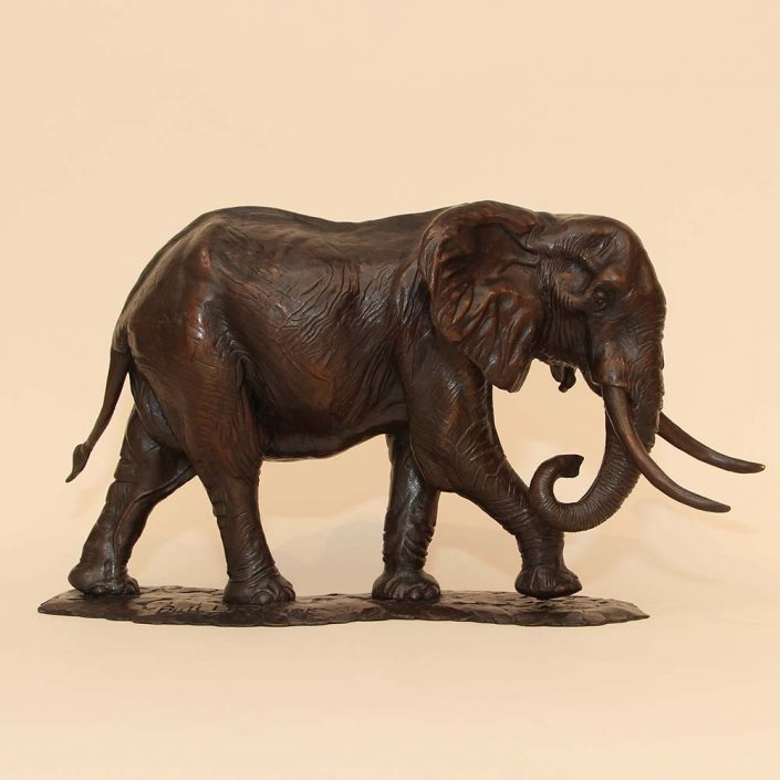 Elephant - William Montgomery