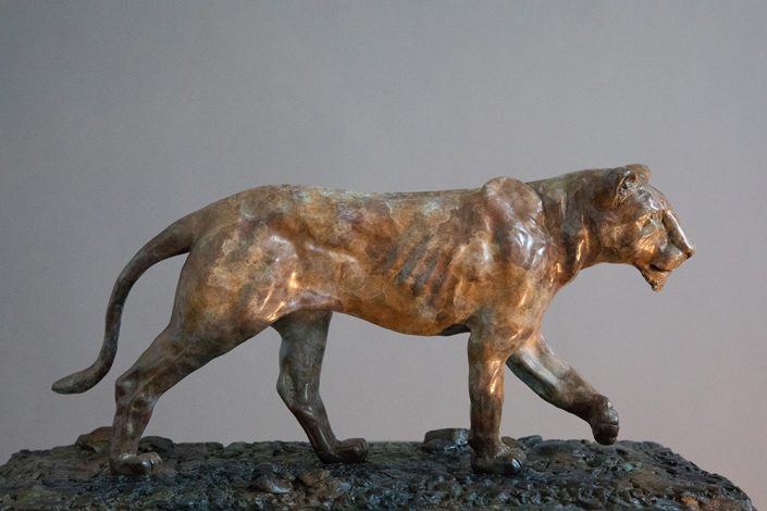 Lioness in Bronze - Adrian Flanagan