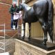 John Skeaping's 'Hyperion' getting a Talos makeover ready for the Craven meeting at Newmarket
